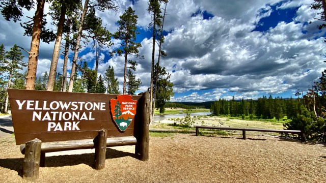 'Unbelievable' entitled visitor at Yellowstone National Park sparks outrage online