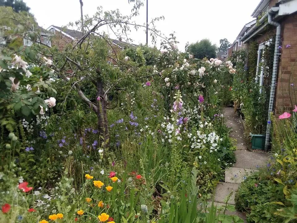 Natural garden