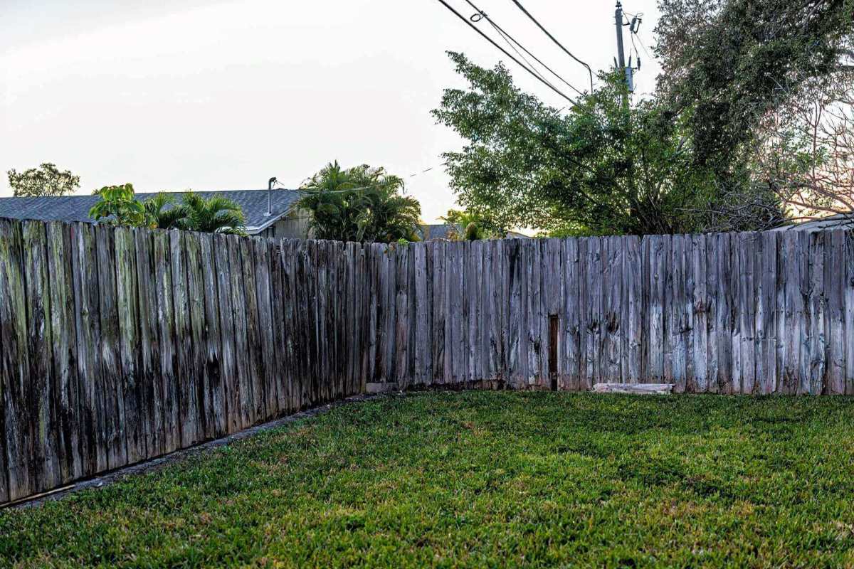 Grass in backyard, Neighbor uses 'ridiculous' law to get them in trouble