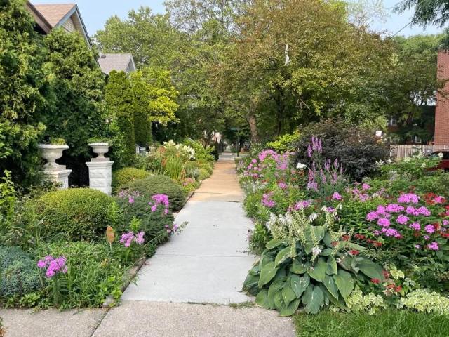 side-by-side photo comparison of neighbor’s ‘wild’ yards