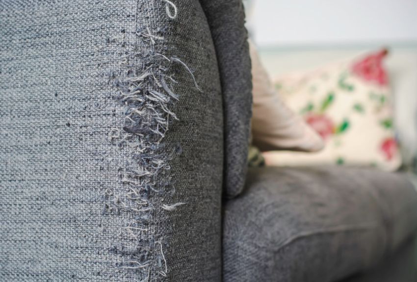 Cat owner shared remarkable transformation photo after reviving their  scratched-up couch: 'Wow, that's gorgeous