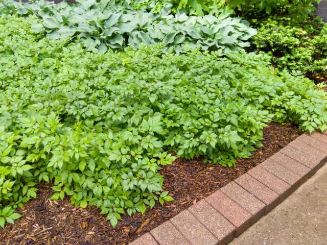 "My utter sympathies."