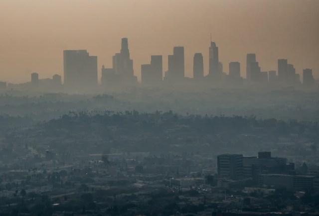 "There are many studies that examine the effects of individual nature-based solutions, but this merges all of them and analyzes the potential systemic effect."