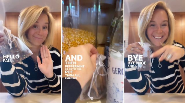 “I’m doing this for myself and my friend who has a sneaky mouse.”