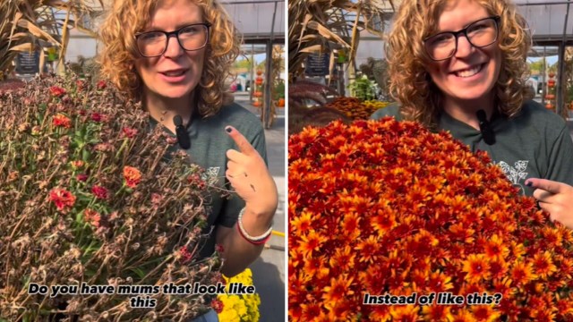 The video was shared on the Miller Flowers Garden Center Instagram account, which has over 68,000 followers.