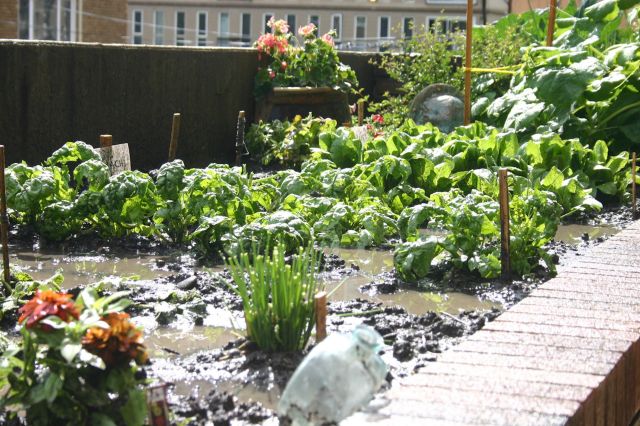 The city experienced torrential downpours that flooded many neighborhoods.