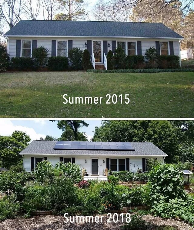 Homeowner’s stuns with biodiverse yard transformation