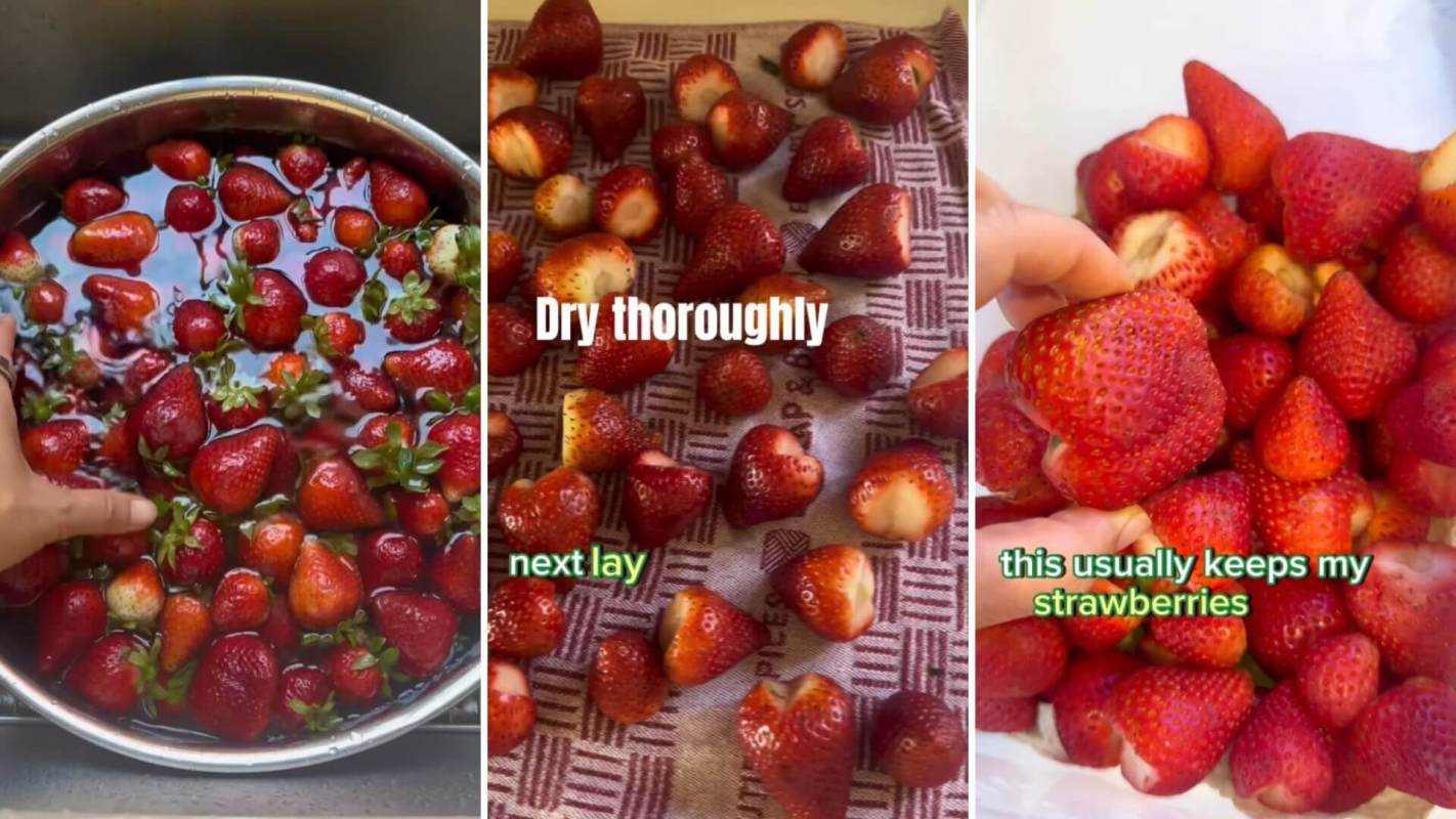 Hack for keeping berries fresh for way longer than usual
