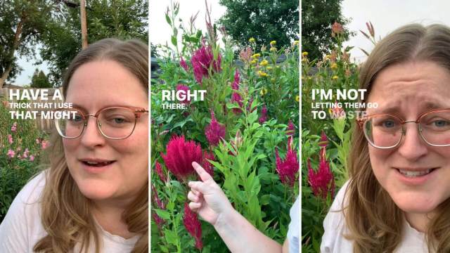 The hack doesn't require you to constantly be out in the garden scanning for seeds.