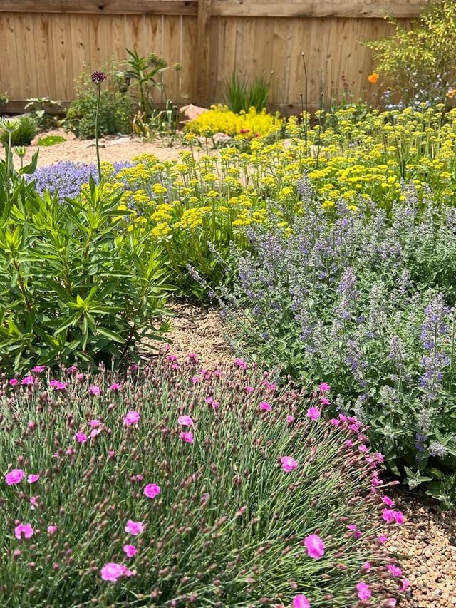 Xeriscape