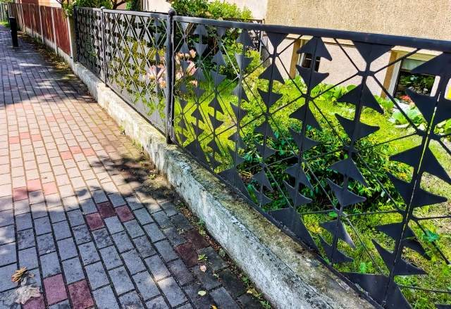 "That’s an amazing garden."