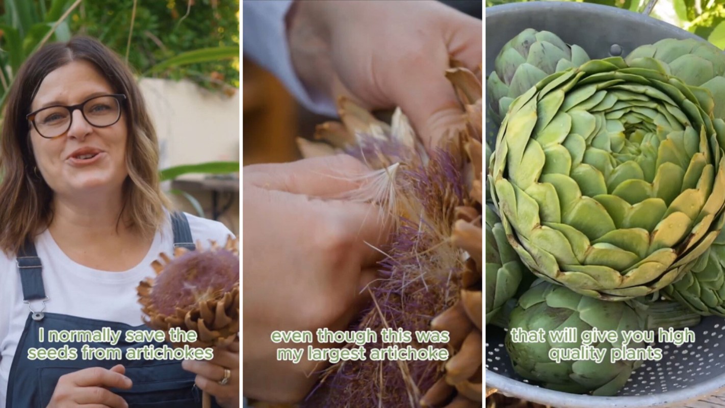 "There’s so much to learn in seed saving.”