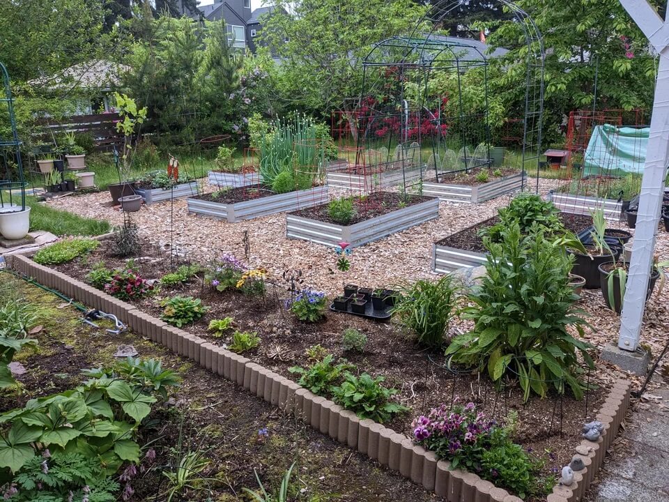 Redditor shares amazing raised garden bed after years of work