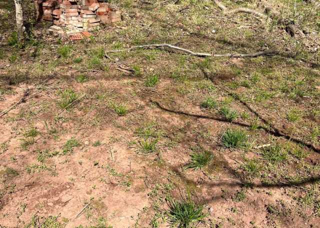 In the “before” photo, the area holds nothing but dirt and a few scattered clumps of grass and weeds.