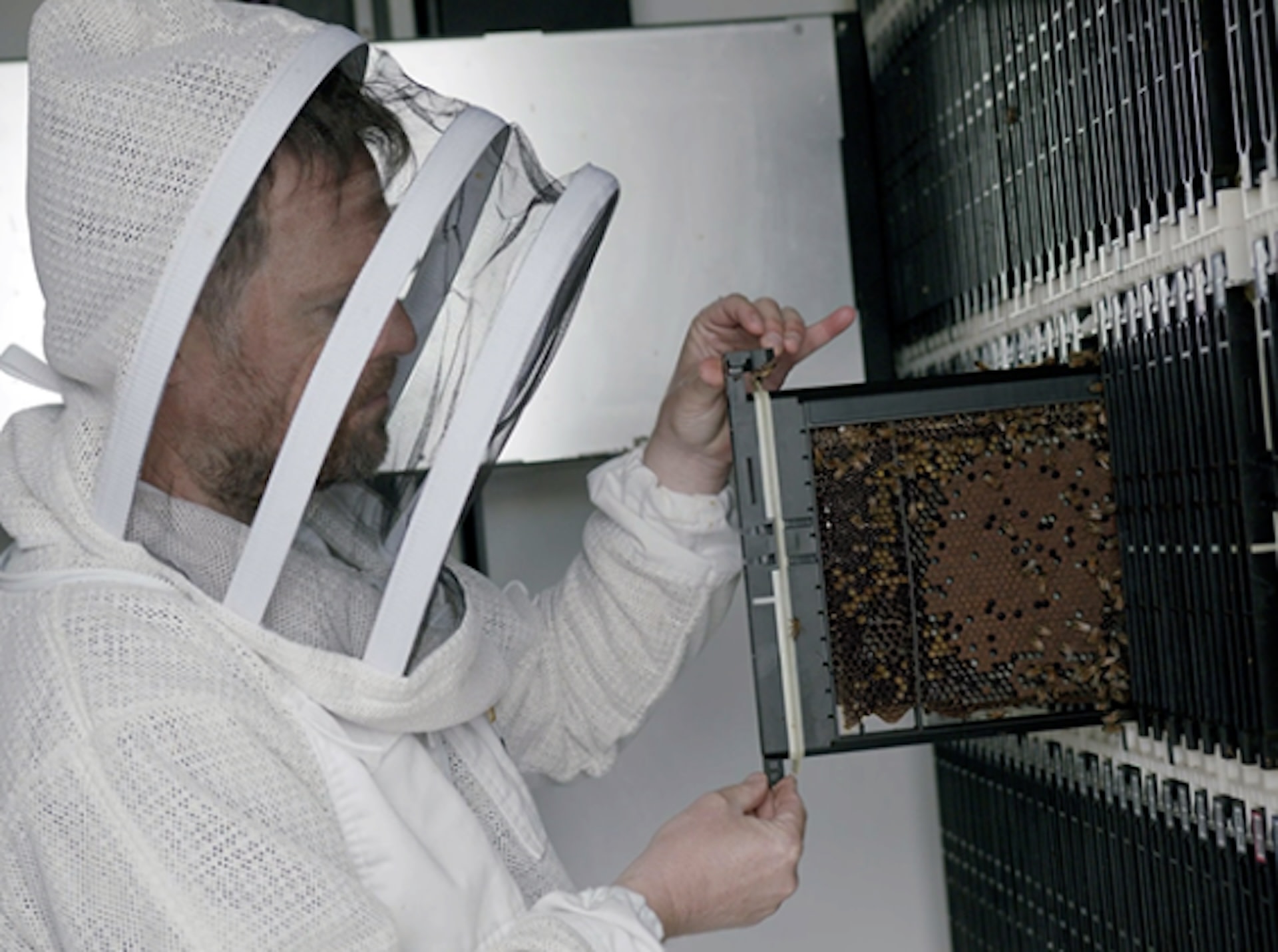 These incredibly futuristic beehives have an AI robot beekeeper inside — and it can even guard the hive or dispense medicine in real time