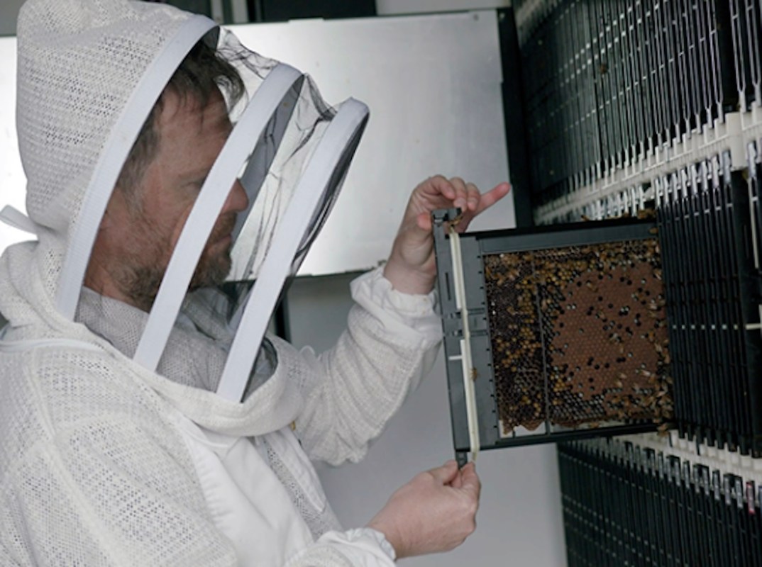 "We haven’t changed traditional beekeeping in any way. We simply do it with a robot in real time."