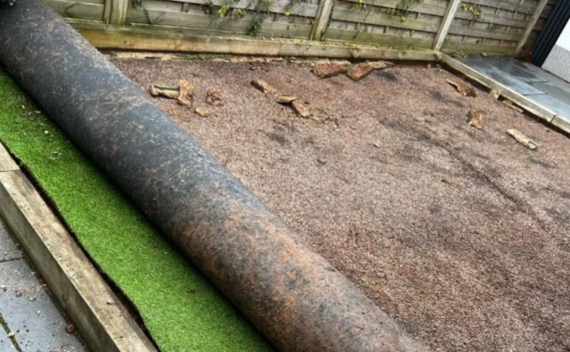 The homeowner shared photos as evidence of their incredible progress.