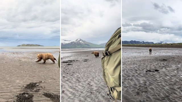 The video ends as the filmmaker tilts the camera down and away from the sprinting mammal.