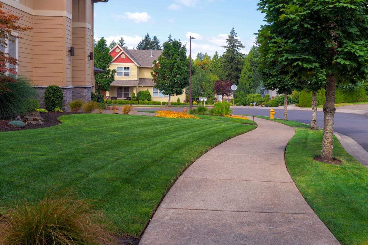 If you're looking for a low-maintenance lawn, there are so many other options.