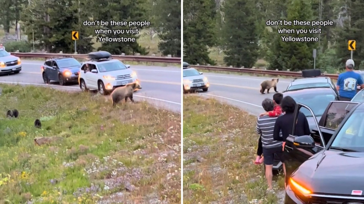 “Don’t be these people when you visit Yellowstone."