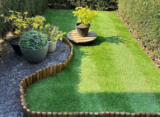 "There are also some invasives."