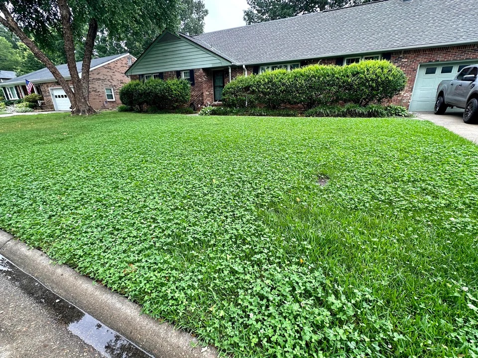 The before photo shows a nondescript area that appears to have patches in desperate need of watering.