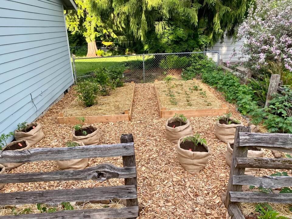 amazing yard makeover
