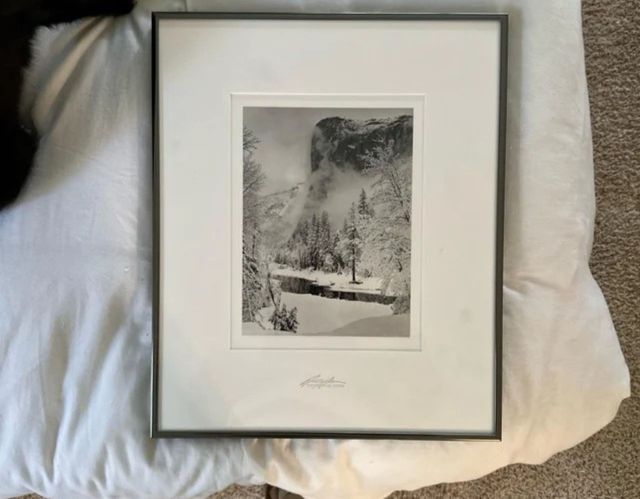 "$4 find at my favorite thrift store."