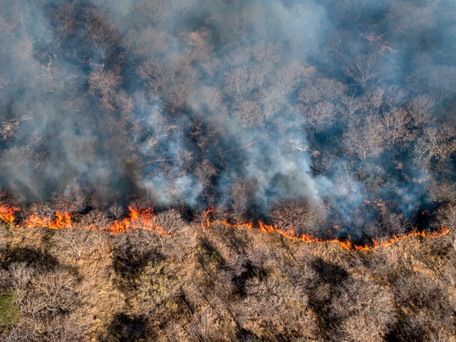 Better wildfire detection technology could help firefighters to stop out-of-control fires from happening while also having to put themselves at less risk.
