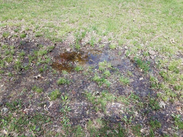 A muddy garden in a backyard after a rain shower.