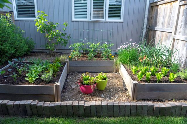 “It’s up to you if you want to consume what is grown there.”
