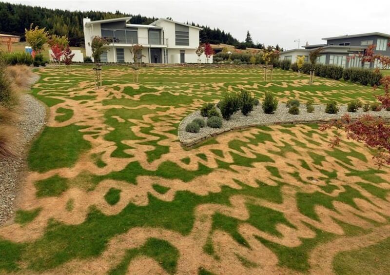 "This is an excellent opportunity to eliminate your lawn."