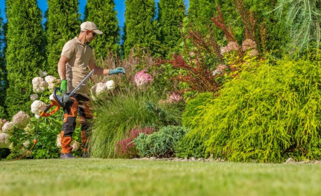 "I still can't believe [it]."