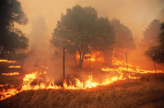 “Wildfires are more frequent because of climate change, and the severity of the fires are greater.”