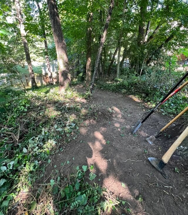 Removing English ivy from yard