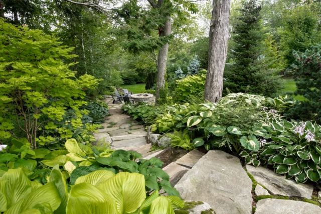 "I want my garden to look like this!"