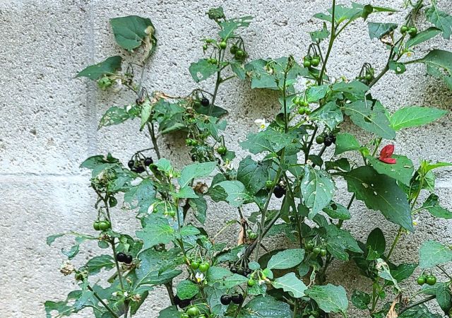 "I tend to ignore it and let it do its thing."