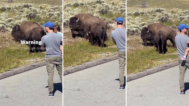 "This is child endangerment at the very least."