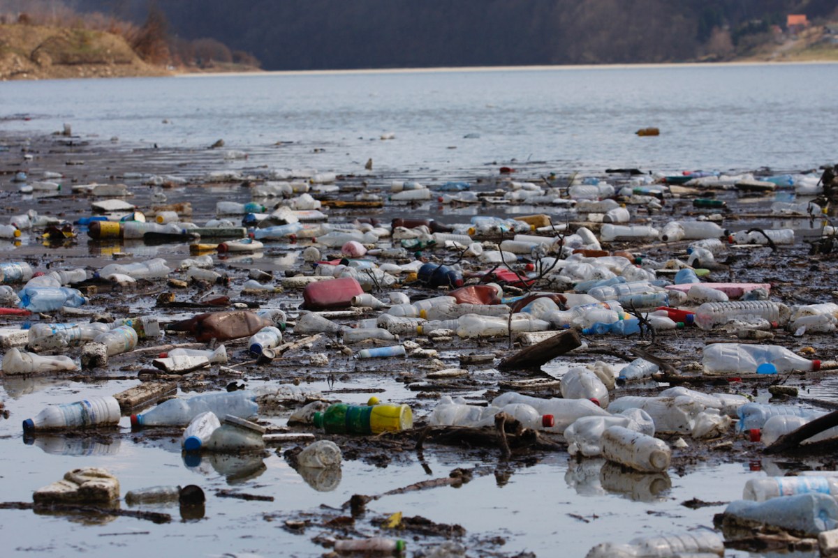 "First thought was ocean foam. Sadly, plastic garbage is up and down the beach."