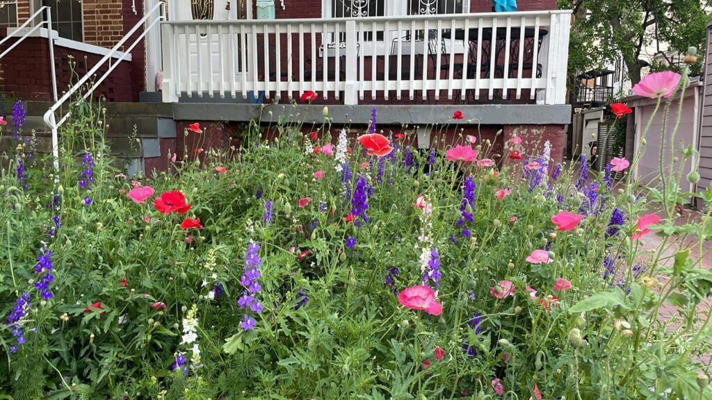 "They're sadly not used to seeing ... actual nature in their outdoor environments."