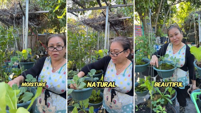 "I use this for both my outdoor plants and bonsai."