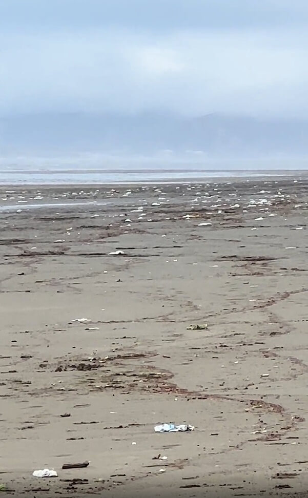 "First thought was ocean foam. Sadly, plastic garbage is up and down the beach."