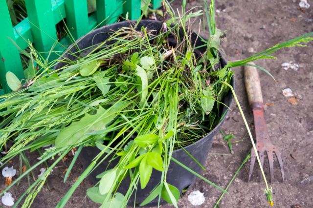 "[It's] going to be a headache."