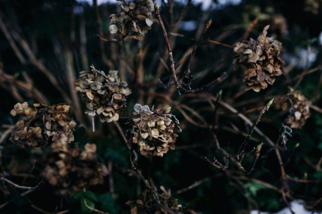 "They're sadly not used to seeing ... actual nature in their outdoor environments."