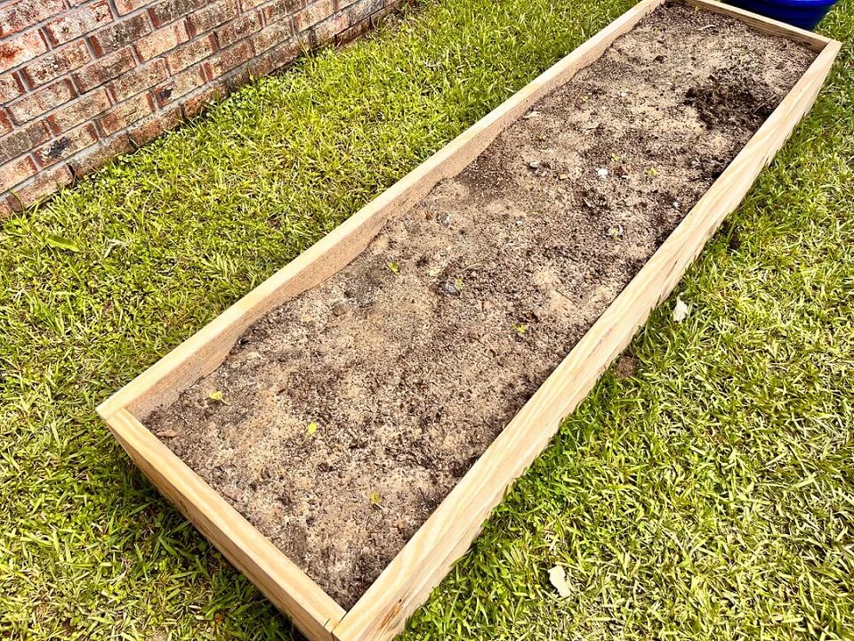 New gardener shares worrisome photos of newly constructed raised garden