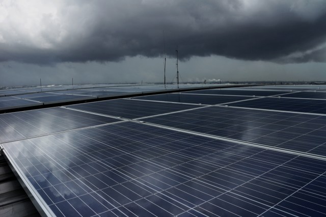 Annual production losses could be as much as 10%, according to the study.