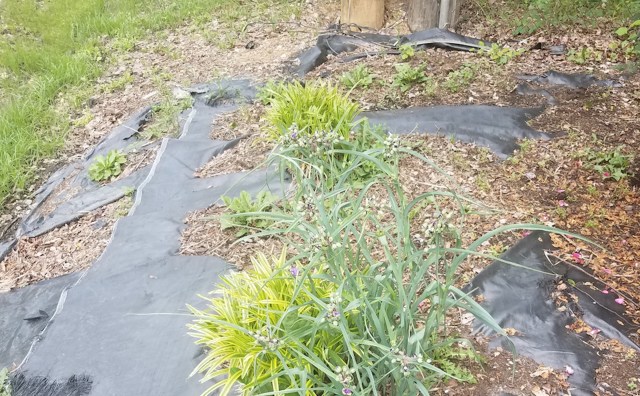 "It was very hard but in my opinion worth it."