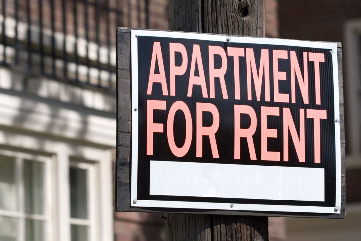 "Landlords: okay, today in our rental property we will ban ... "