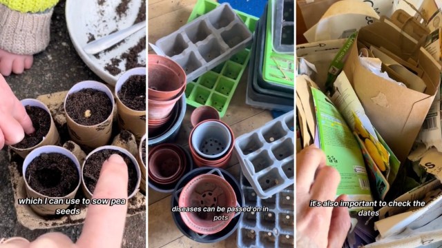 Simple tips like these are helpful for both new and seasoned gardeners.