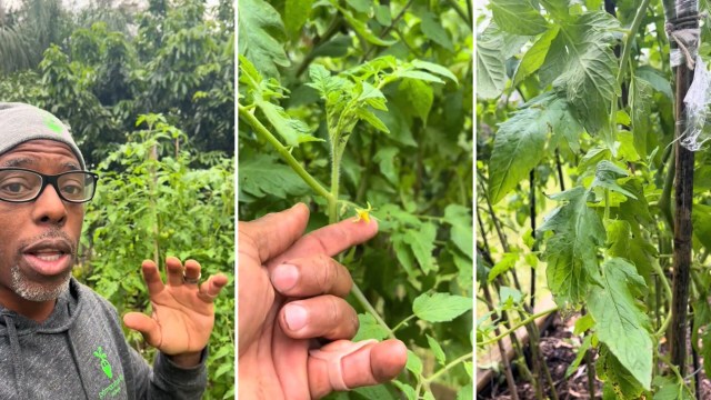 "Another excellent video with great tips...that I can use!!!"